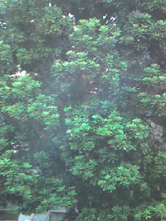 070628_0837~0001.jpg