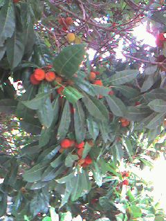 070628_0838~0001.jpg