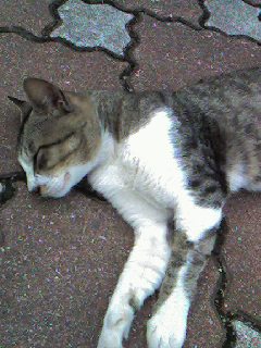 070626_1608~0001.jpg