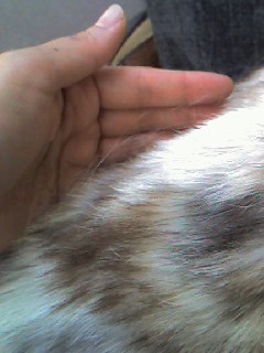 070731_1035~0002.jpg