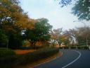 200811061448000.jpg