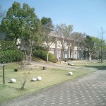 cimg8111