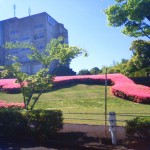 200905290851000