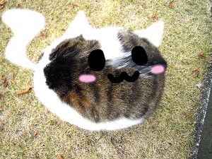 2013.12.17-3