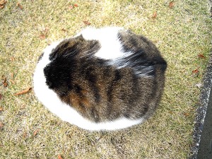 2013.12.17-4
