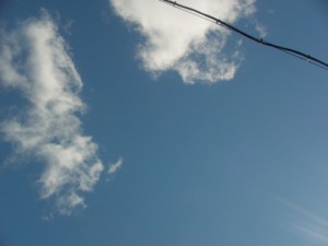 DSC02493