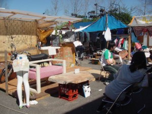 DSC02542