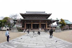 IMGP8858