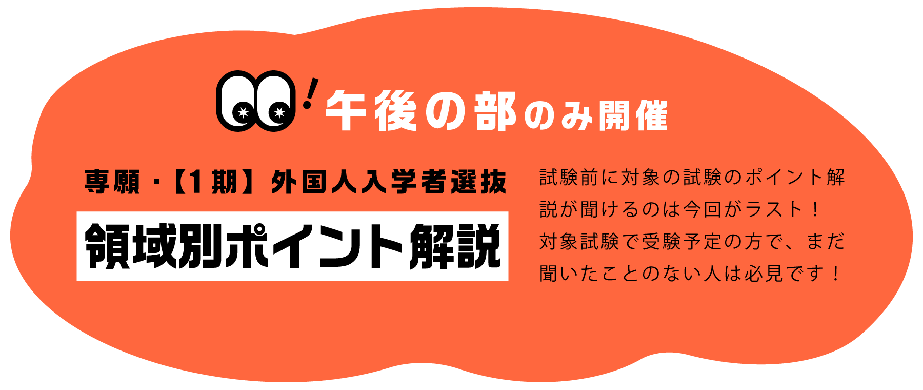 領域別ポイント解説