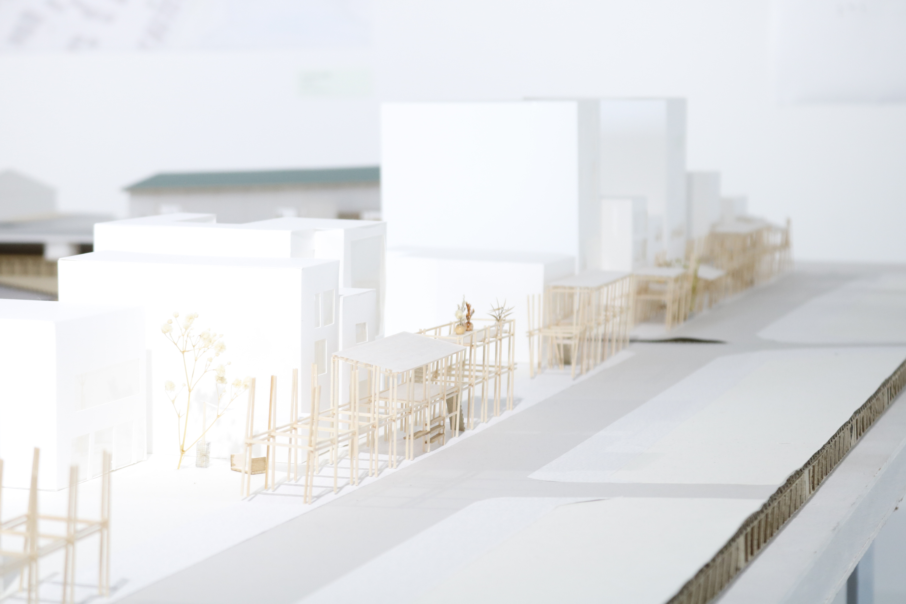 展示画像