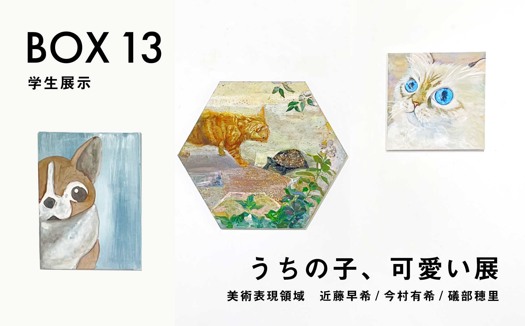BOX13 学生展示　うちの子、可愛い展